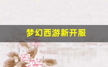 梦幻sf：梦幻西游新开服 (4)
