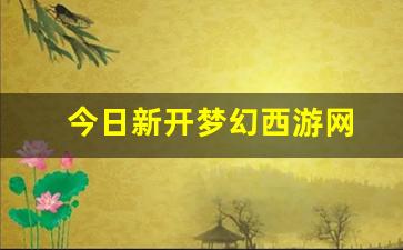 今日新开梦幻西游网 (9)