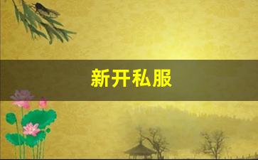 新开私服(sf999传奇新服网) (3)