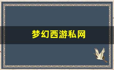 梦幻西游私网(梦幻西游私sf平台) (5)
