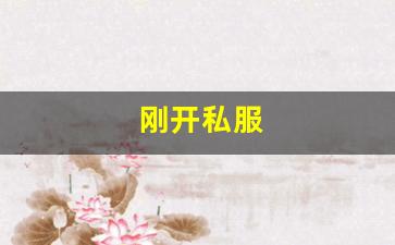 最新梦幻西游私服：刚开私服 (3)
