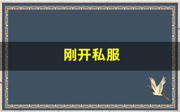 梦幻西游任务：刚开私服 (19)