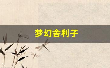 藏宝阁梦幻西游：梦幻舍利子(梦幻舍利子多少钱一粒) (10)