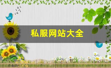 梦幻手游私服：私服网站大全 (8)