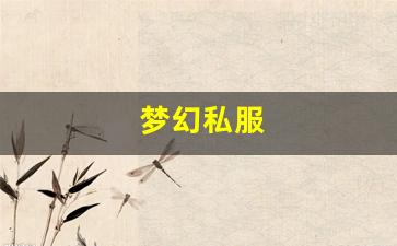 梦幻西游sf网站：梦幻私服(梦幻手游私sf平台) (17)