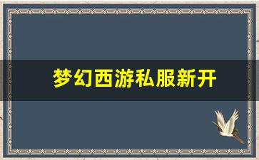 梦幻西游sf发布网：梦幻西游私服新开(梦幻西游手游吧) (13)