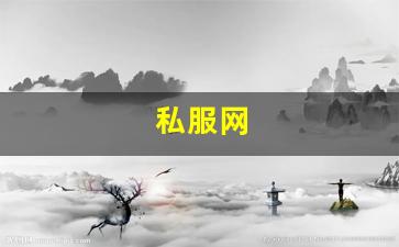 藏宝阁梦幻西游：私服网(手游私sf平台) (10)