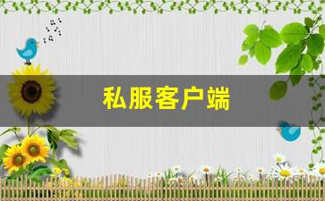 梦幻西游工具箱：私服客户端 (8)