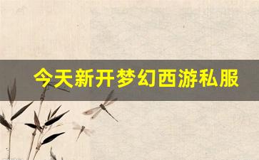 刚开私服：今天新开梦幻西游私服(梦幻西游手游吧) (10)