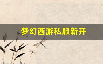 私服大全：梦幻西游私服新开(梦幻西游手游吧) (20)